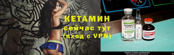 гашик Алексин