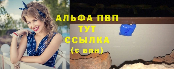 гашик Алексин