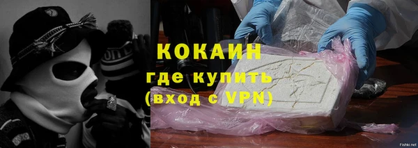 гашик Алексин