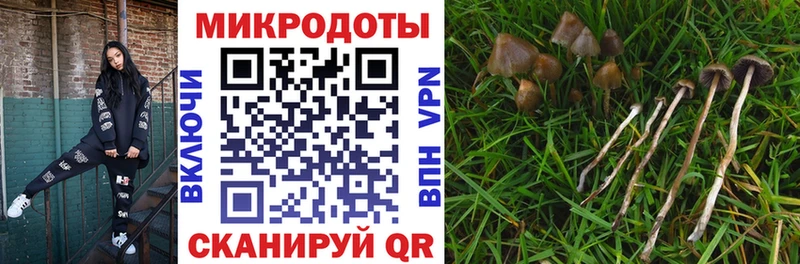Псилоцибиновые грибы ЛСД  Асино 